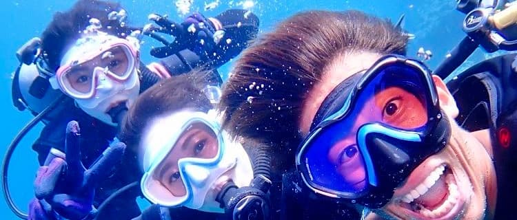 浜比嘉島の海中 熱帯魚の群れ